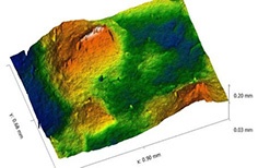 Abrasive surface profilometer image using Rtec profilometer