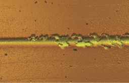 coating failure image using confocal microscope on 3D scratch tester
