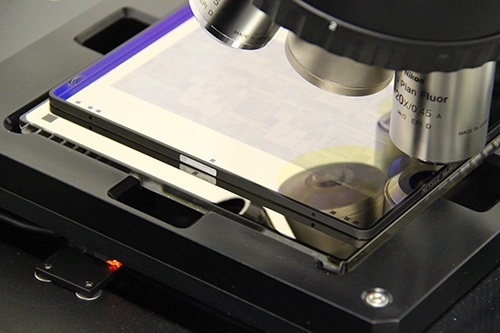 pellicle defectivity analysis profilometer