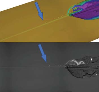 Confocal and bright field images of glass A in the failures area